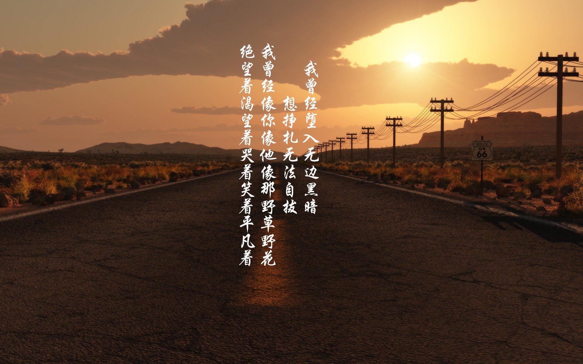 数据爆炸！小贾伦全面进化，森林狼撕碎公牛背后的唯一性哲学